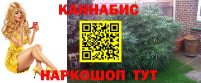 стаф Краснокаменск
