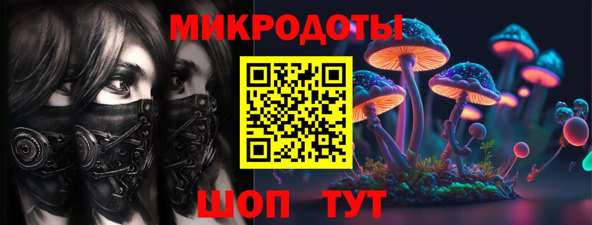 Зеленогорск  Галлюциногенные грибы Cubensis  что такое   Вход с VPN 