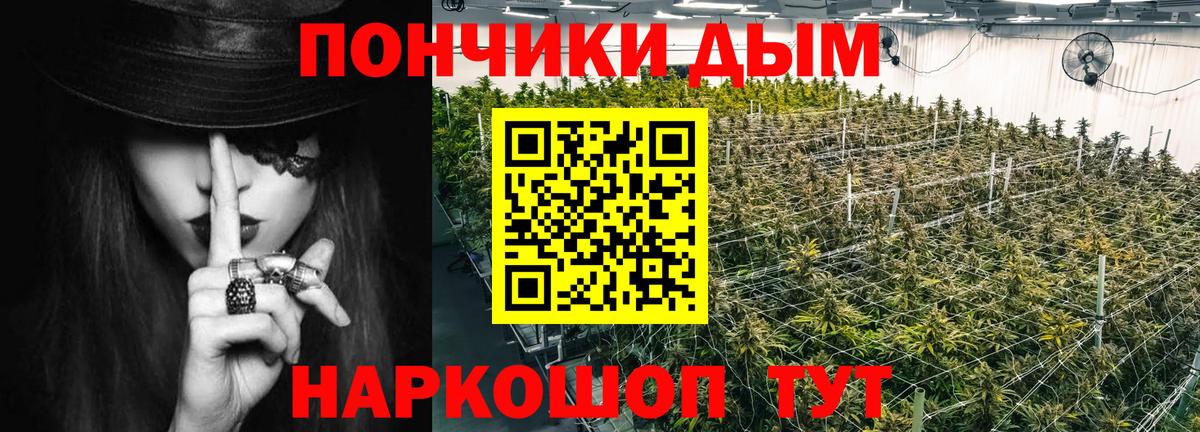 Шишки марихуана сатива  МАРИХУАНА AK-47  Зеленогорск  МАРИХУАНА конопля  Шишки марихуана SATIVA & INDICA  Вход с VPN 